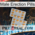 Male Erection Pills cialis4